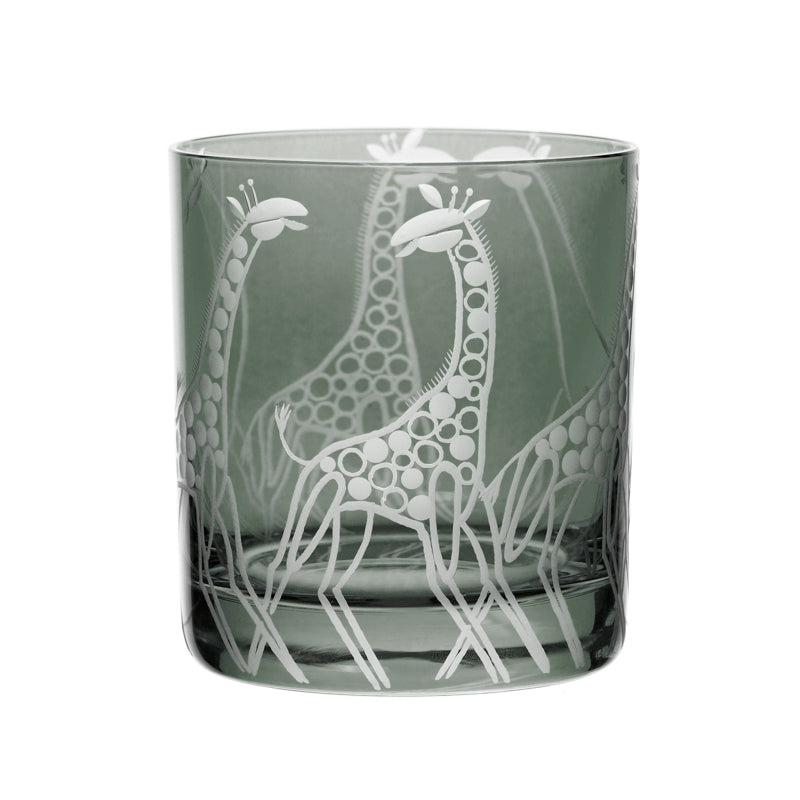 Safari Giraffes