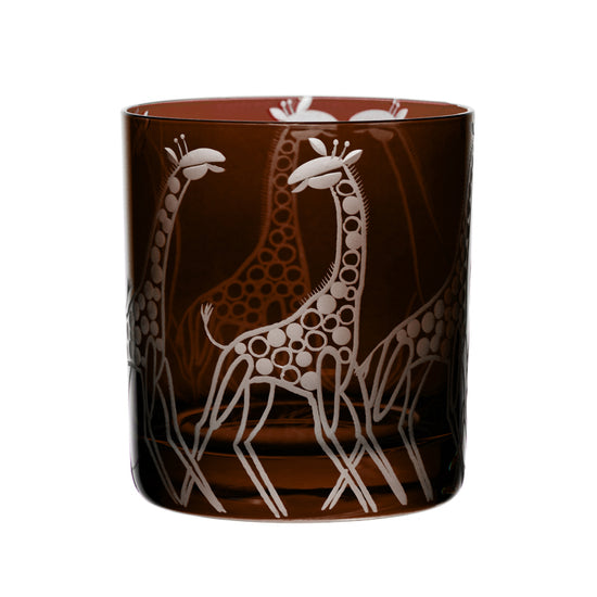 Safari Giraffes