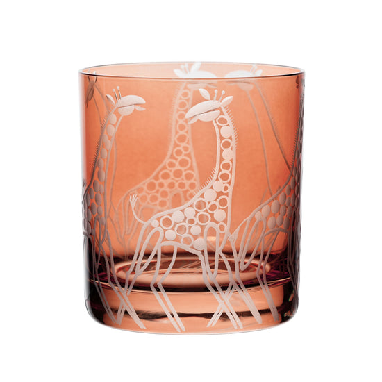 Safari Giraffes