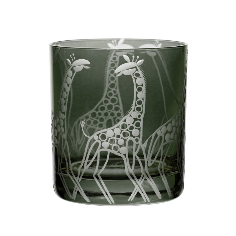 Safari Giraffes