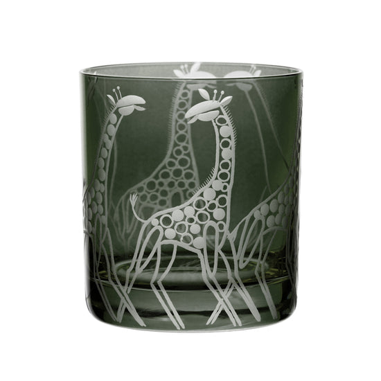 Safari Giraffes