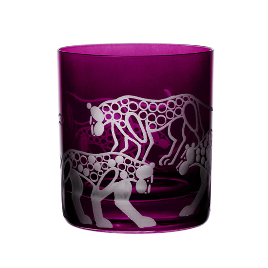 Safari Leopards