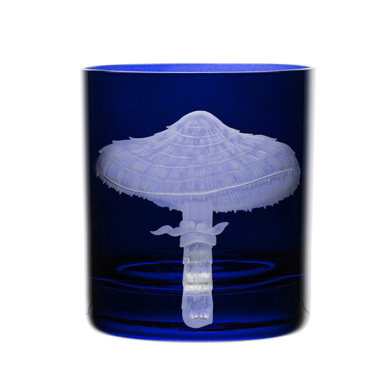 Mushrooms Parasol