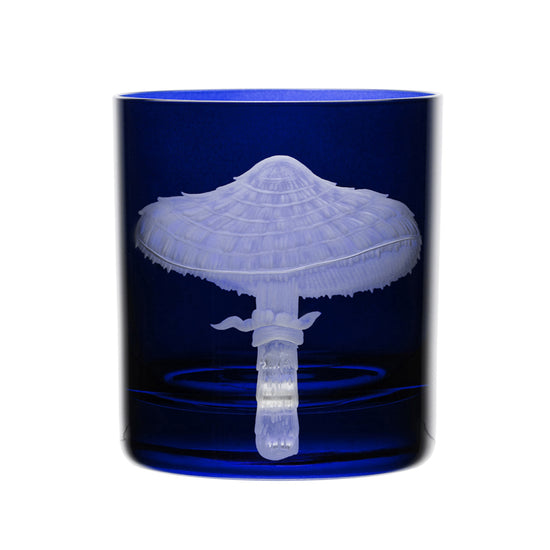Mushrooms Parasol