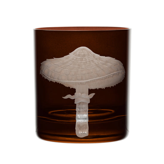 Mushrooms Parasol