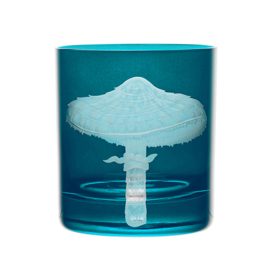 Mushrooms Parasol