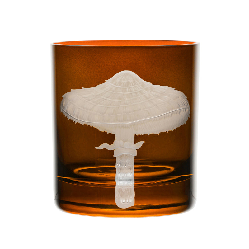Mushrooms Parasol