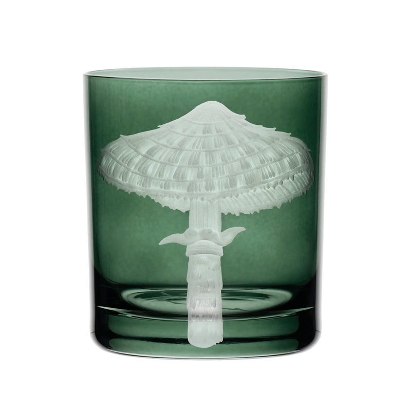 Mushrooms Parasol