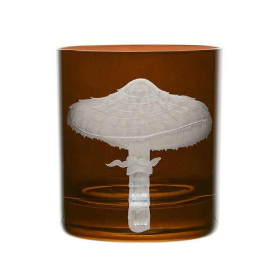 Mushrooms Parasol