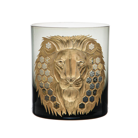 African Safari Lion