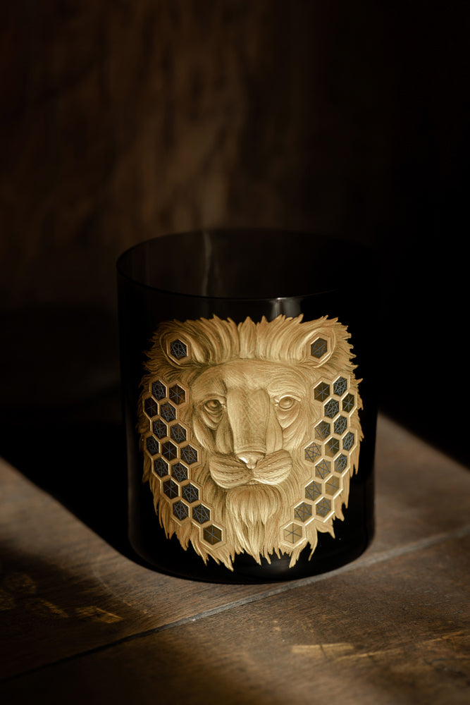 African Safari Lion