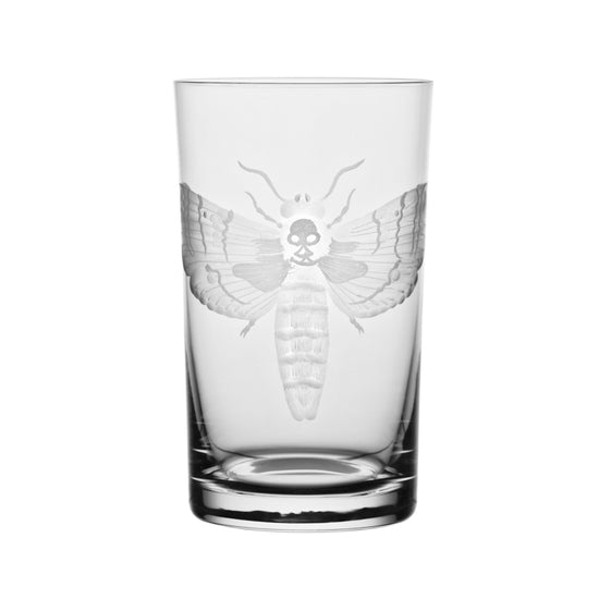 Cabinet of Curiosities Butterfly