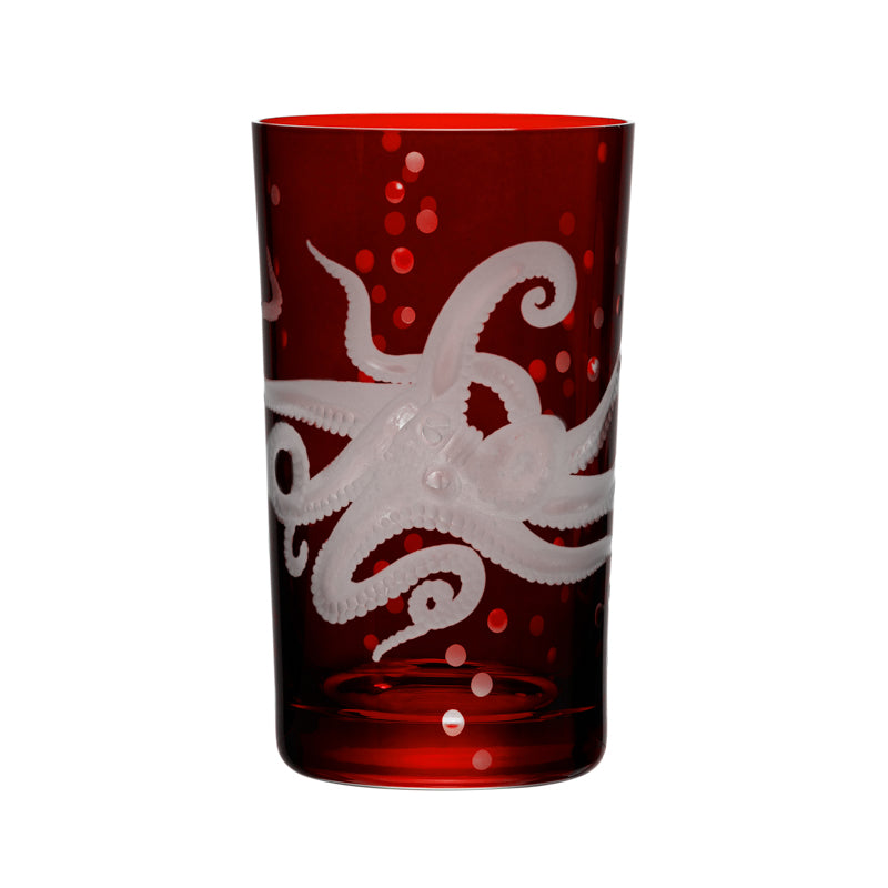 Sea Life Octopus