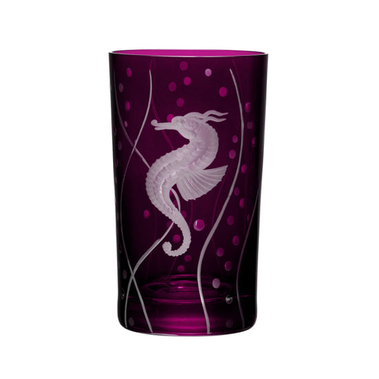Sea Life Seahorse