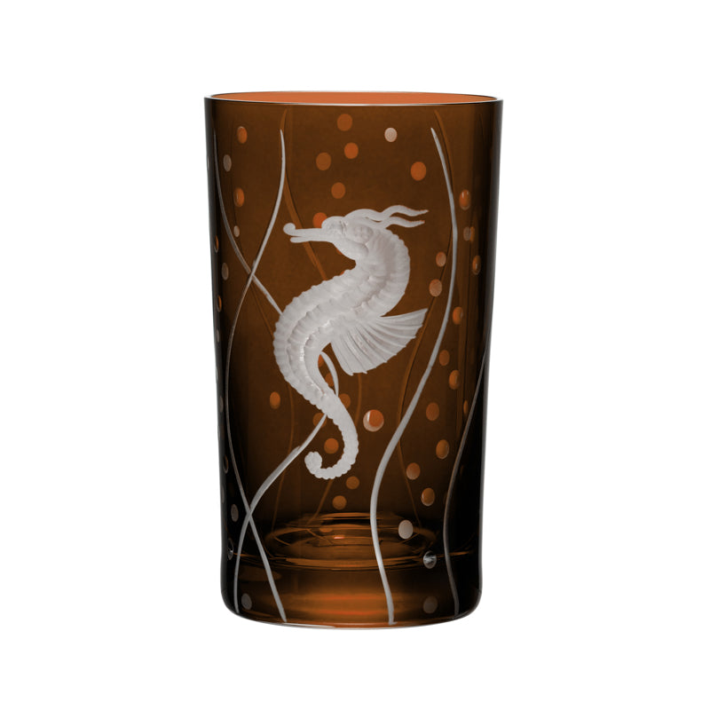 Sea Life Seahorse