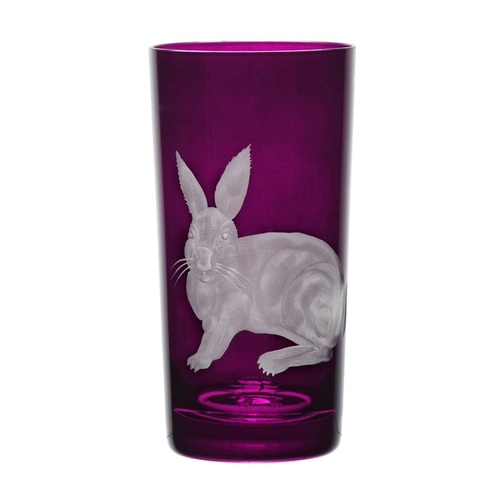Barnyard Rabbit