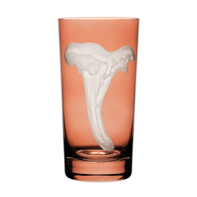 Mushrooms Chanterelle