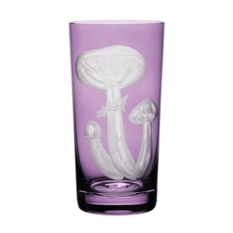 Mushrooms Honey Fungus