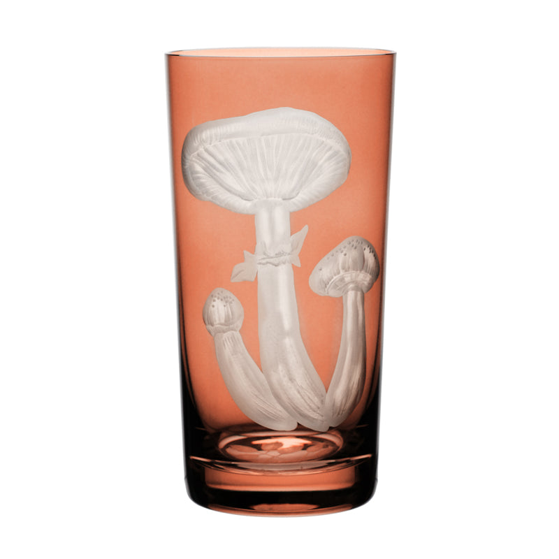 Mushrooms Honey Fungus