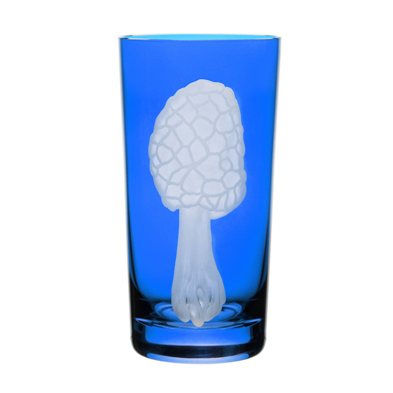 Mushrooms Morel