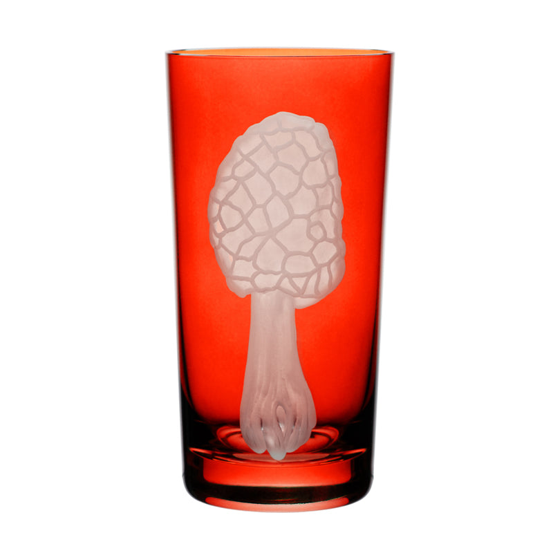 Mushrooms Morel