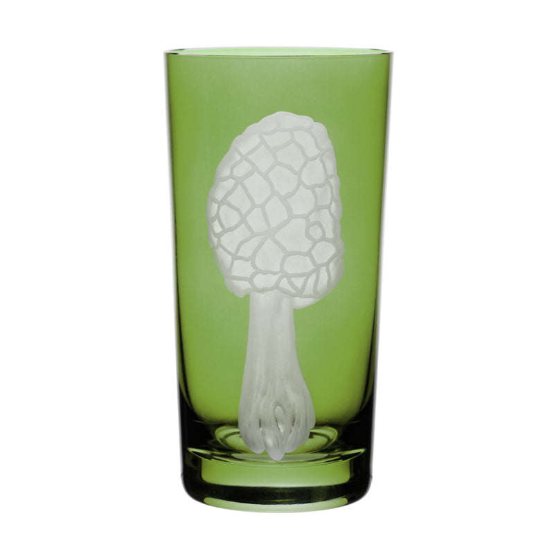 Mushrooms Morel