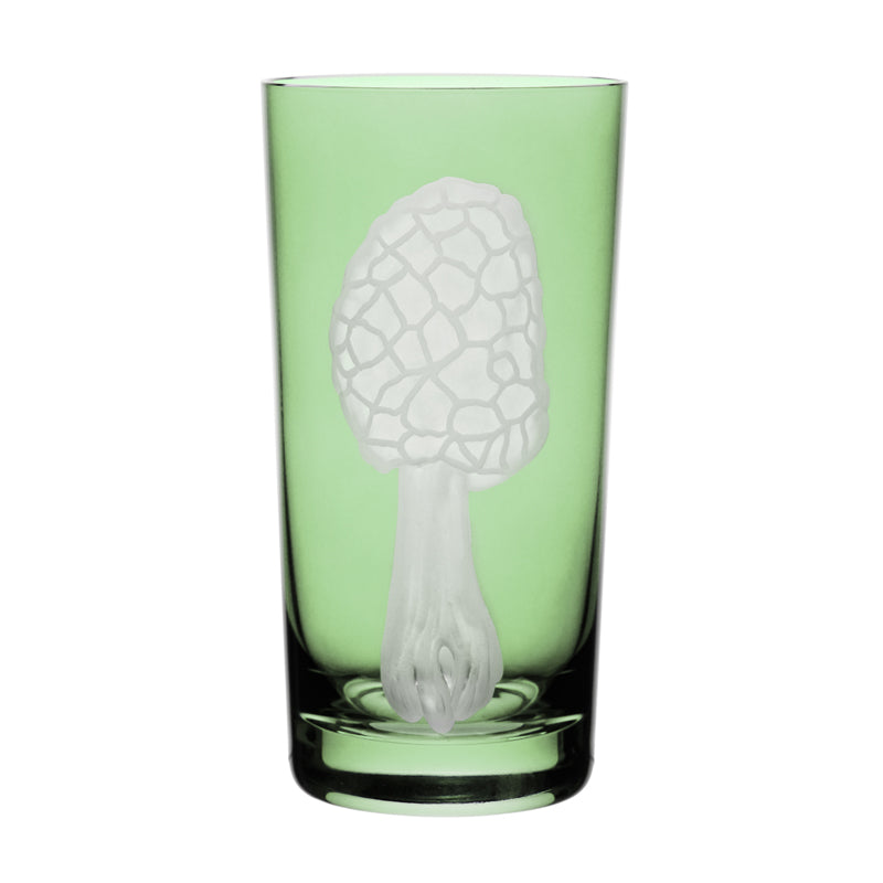 Mushrooms Morel