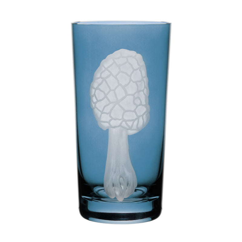 Mushrooms Morel