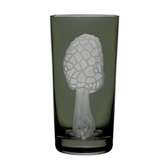 Mushrooms Morel