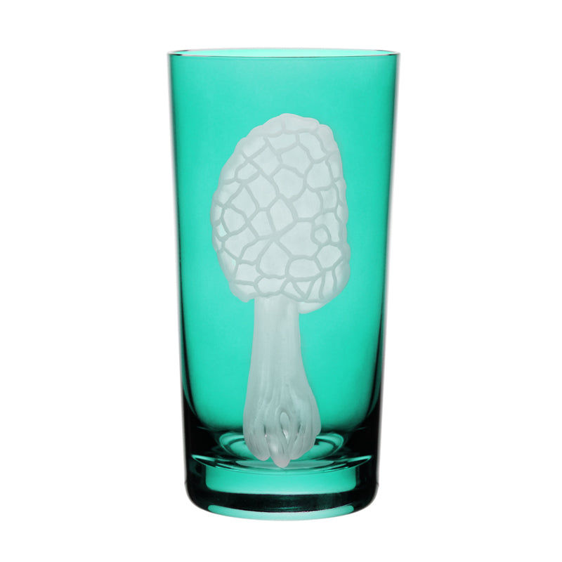 Mushrooms Morel
