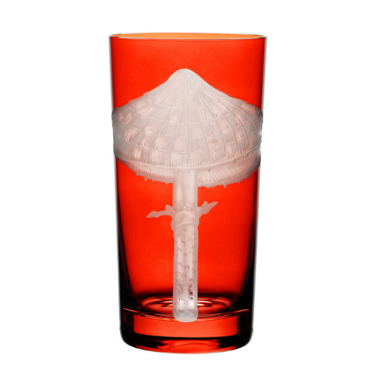 Mushrooms Parasol