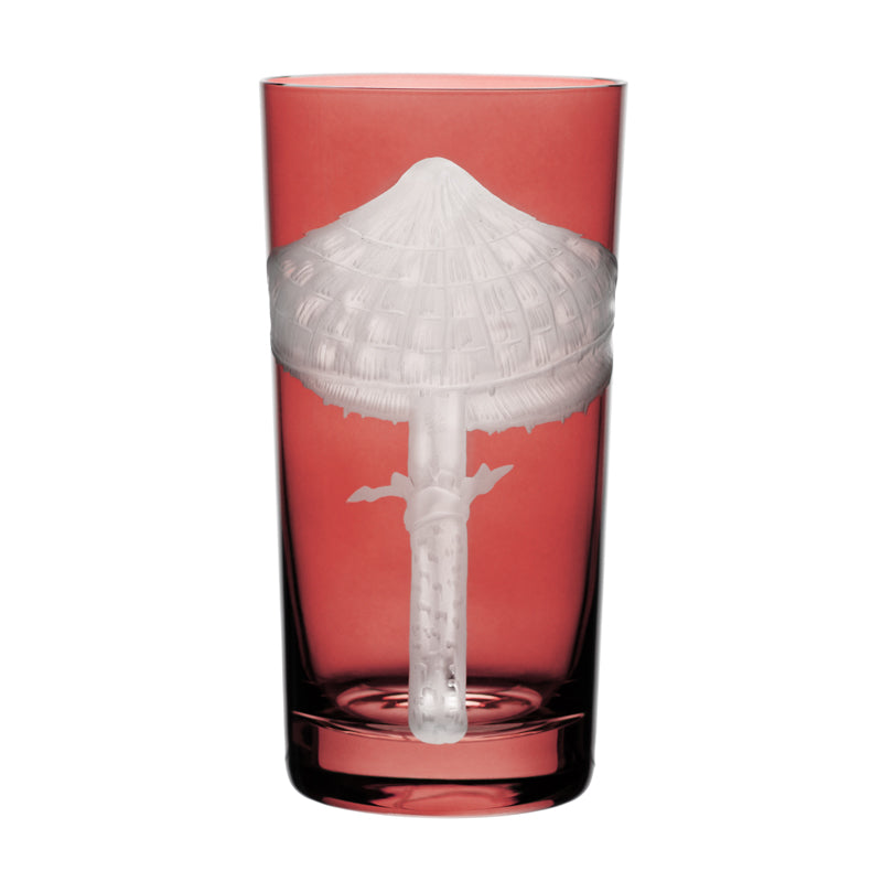 Mushrooms Parasol