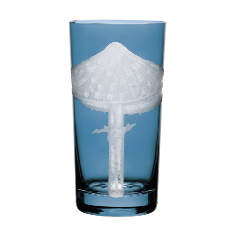 Mushrooms Parasol