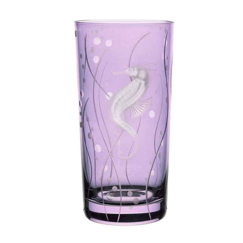 Sea Life Seahorse