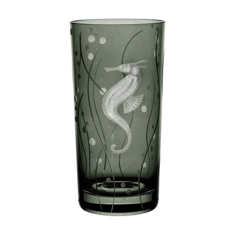Sea Life Seahorse
