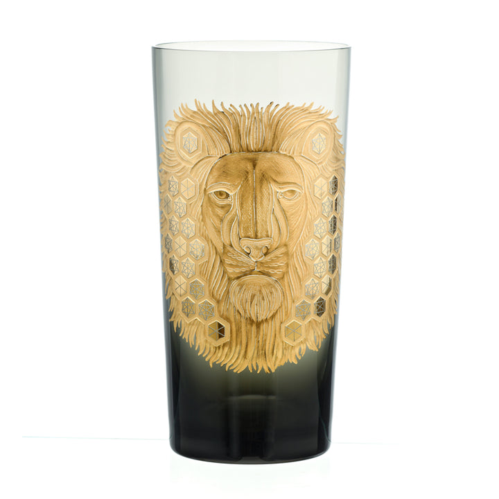 African Safari Lion