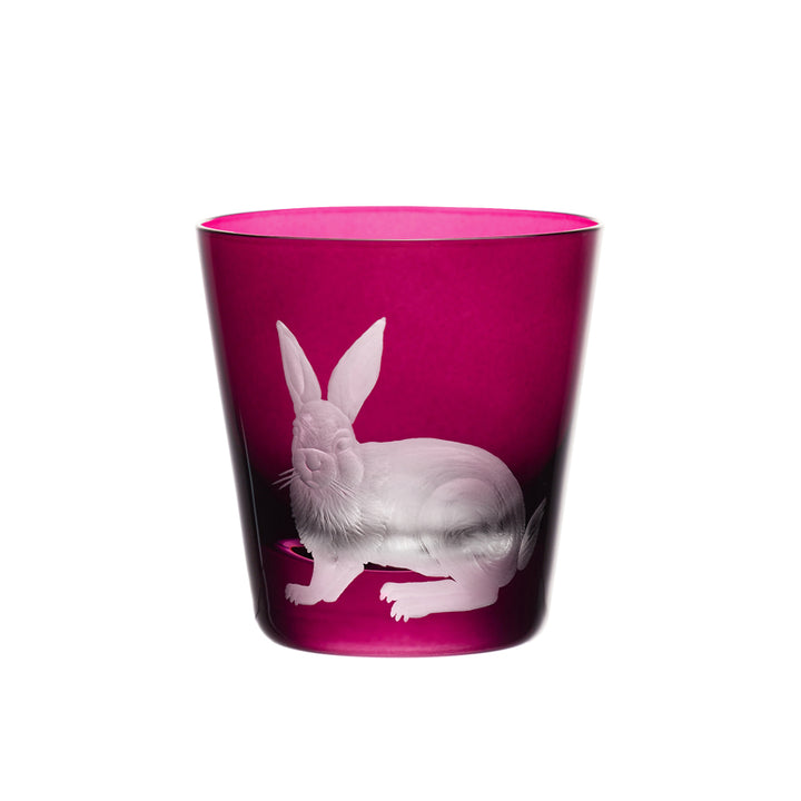 Barnyard Rabbit