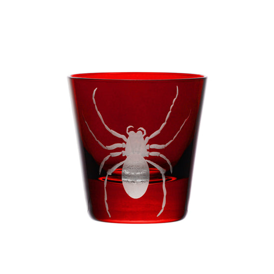 Cabinet of Curiosities Spider