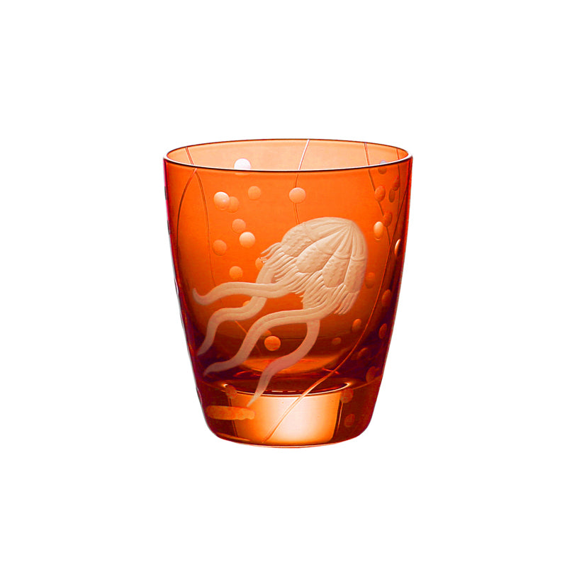 Sea Life Jellyfish