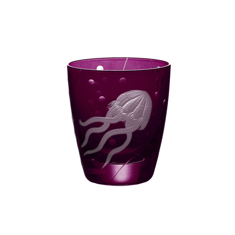 Sea Life Jellyfish