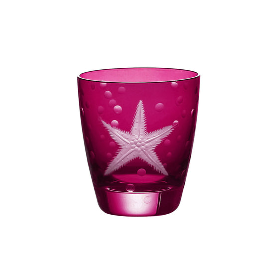 Sea Life Starfish