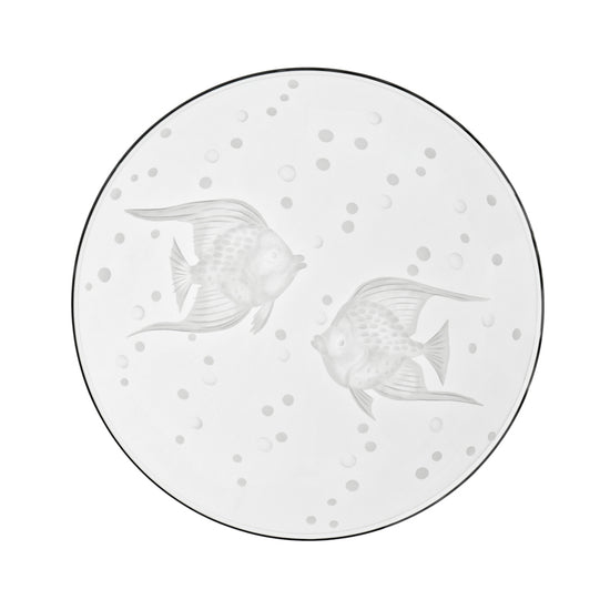 Sea Life Fish
