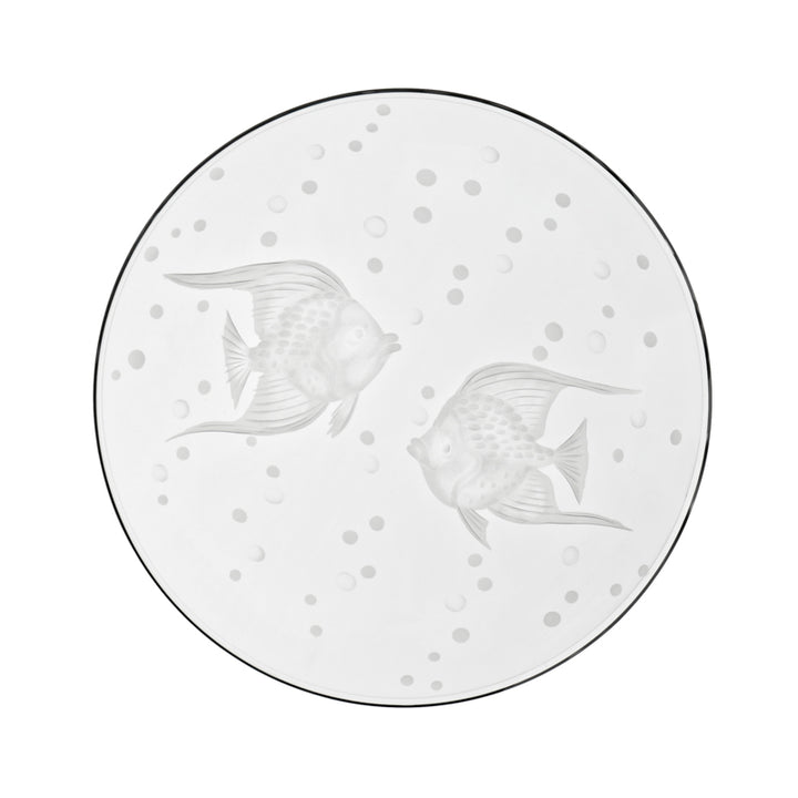 Sea Life Fish