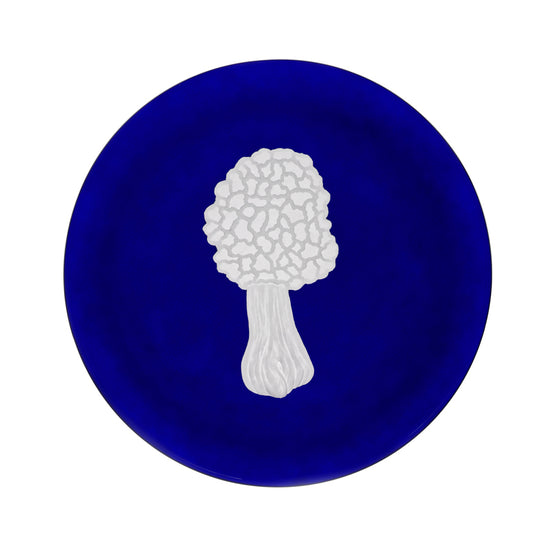 Mushrooms Morel