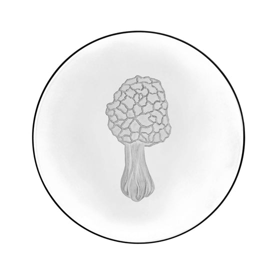 Mushrooms Morel