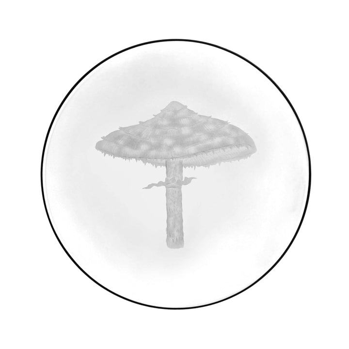 Mushrooms Parasol