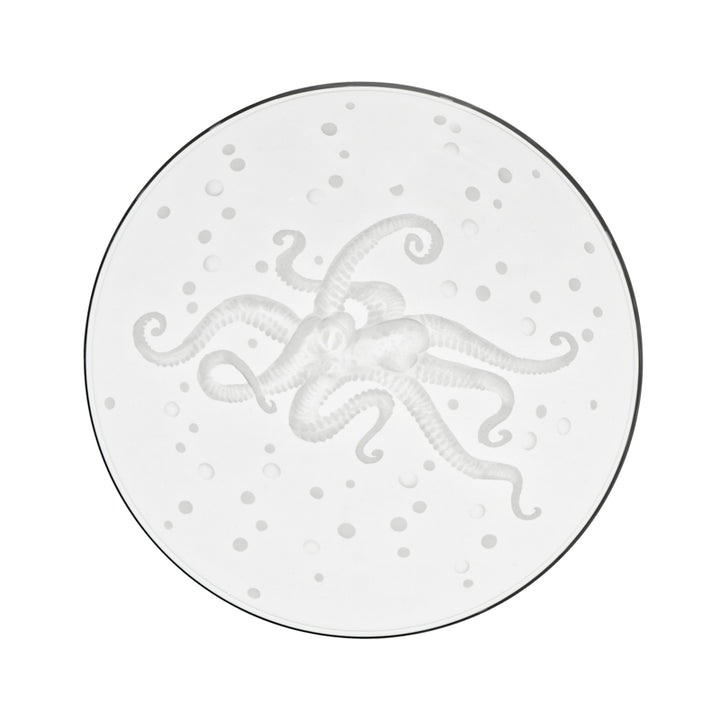Sea Life Octopus
