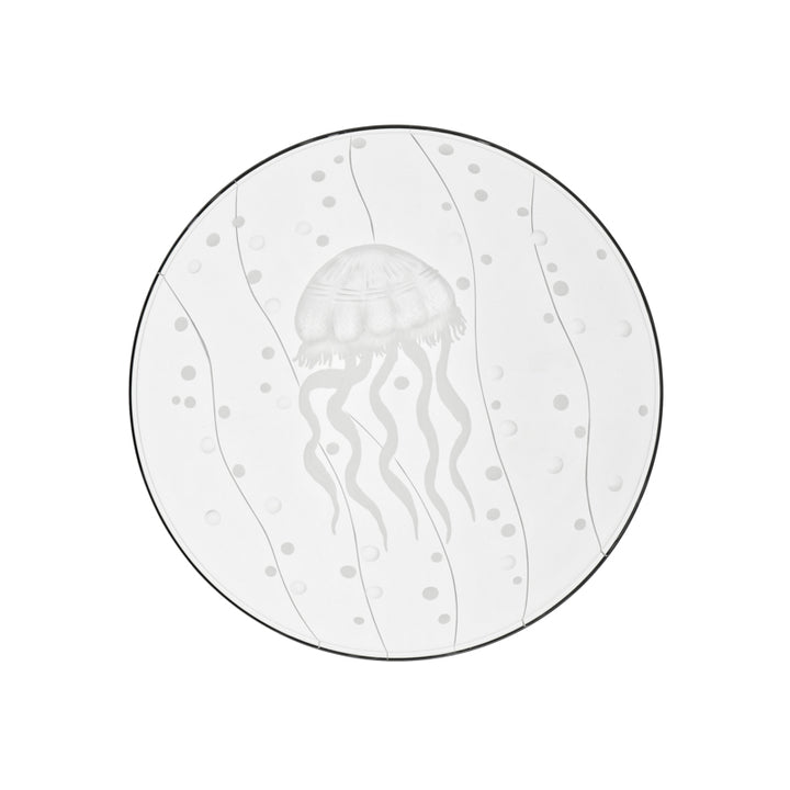 Sea Life Jellyfish