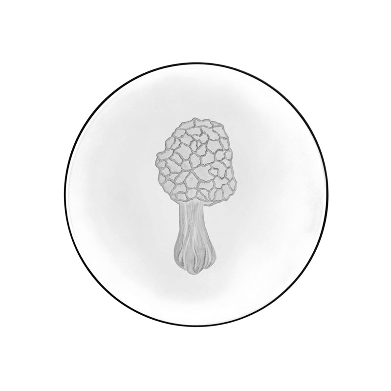 Mushrooms Morel