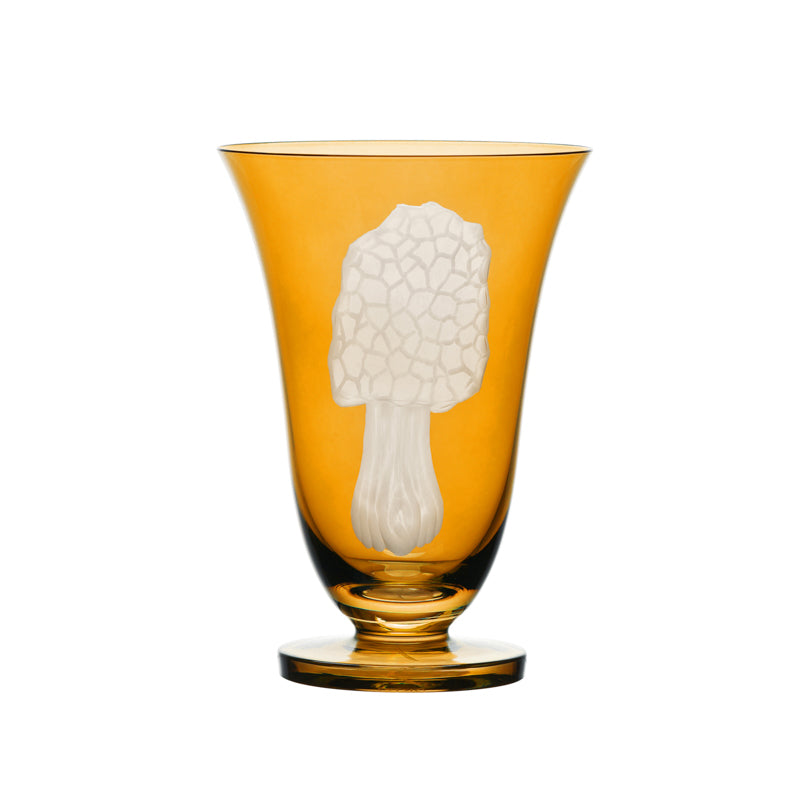 Mushrooms Morel